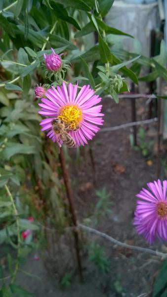 Electronic Product 4